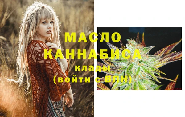 гашик Горняк