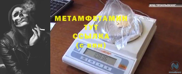 гашик Горняк