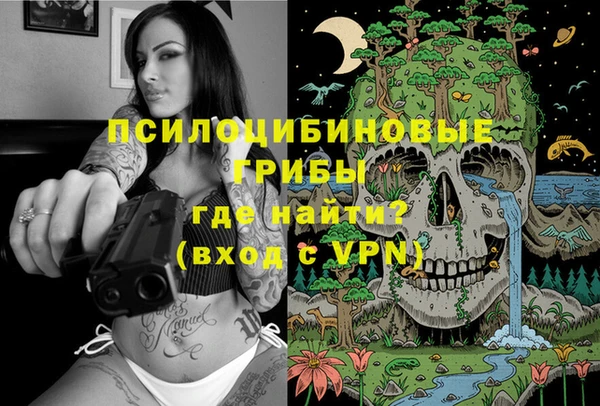 спиды Строитель